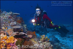 My wife enjoying the Colourful Corals. Sabah, Borneo.  Ni... by Richard Swann 
